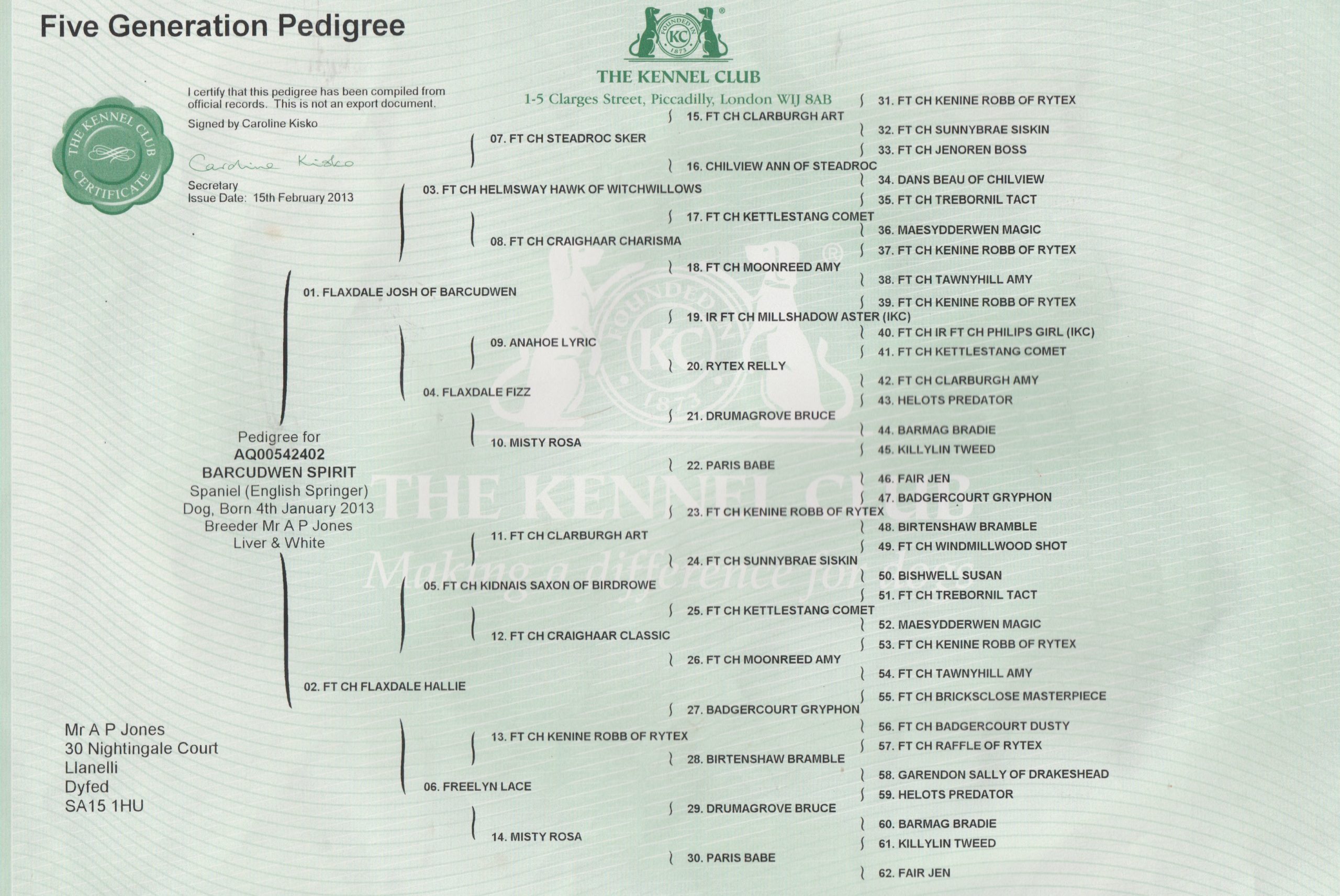 SAM-PEDIGREE-1