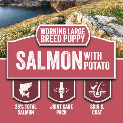 LARGE BREED JUNIOR KIBBLE (LDP) FOR ALL BREEDS