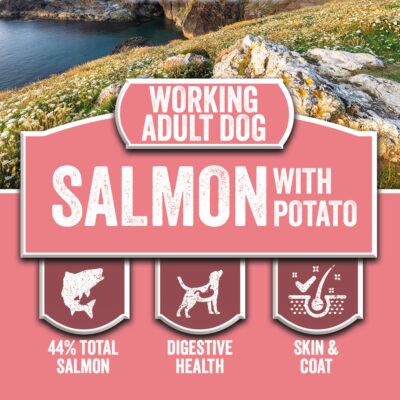 SALMON AND POTATO,  ADULT KIBBLE (SAP)
