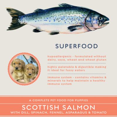 SUPERFOOD 65, PUPPY KIBBLE (SFP)