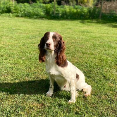 BUNTY x FTCH TYSON - WAITLIST NOW OPEN!! DUE - JUNE 2025