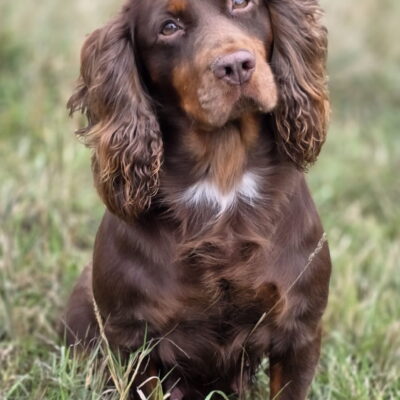 FTW NELLIE X FTW MICKEY - WAITLIST NOW FULL! - DUE 29TH SEPTEMBER 2025