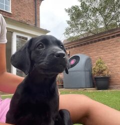 Enid is an absolute joy and settled in brilliantly – 3.1.26