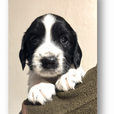 QUINN X FTCH TYSON - BLACK AND WHITE BOYS AVAILABLE - READY TO LEAVE 3.2.2026