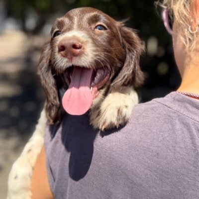 PIP X FTCH TYSON - BLACK AND WHITE&LIVER AND WHITE AVAILABLE